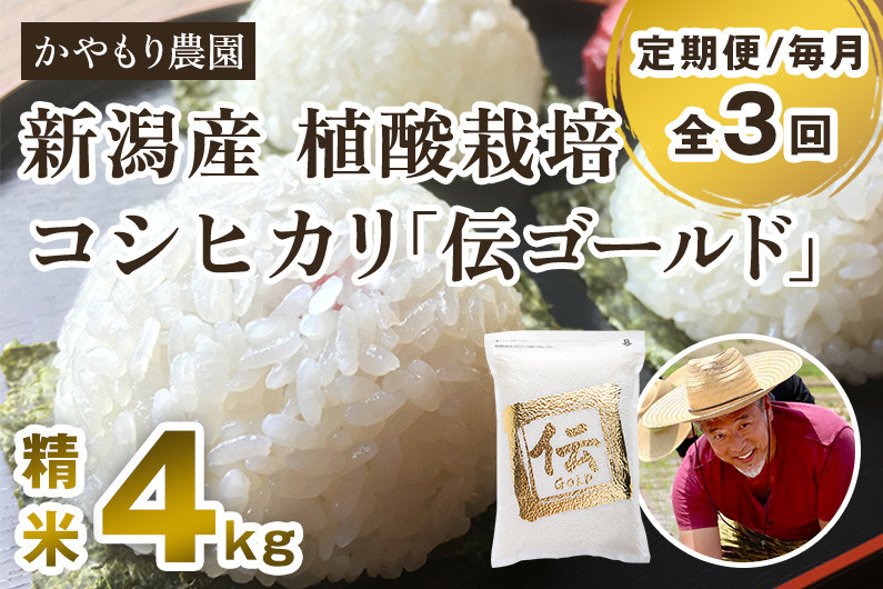 新潟産コシヒカリ「伝ゴールド」白米真空パック 精米 2kg×2袋