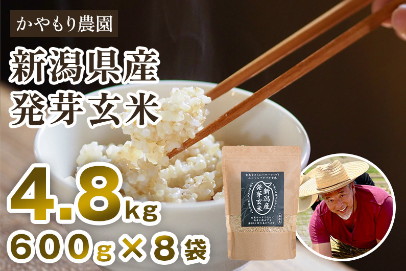 新潟産 発芽玄米4.8kg（600g×8袋）