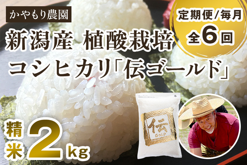 新潟産コシヒカリ「伝ゴールド」白米真空パック 精米2kg