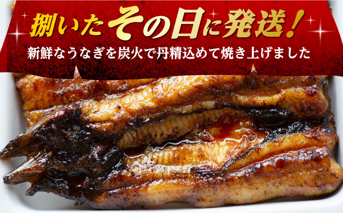 ウナギ うなぎ 鰻 タレ付き 老舗 国内産 国産 土用丑の日 うな重 鰻重 グルメ 西海 長崎 入口屋 長崎県 蒲焼 かば焼き