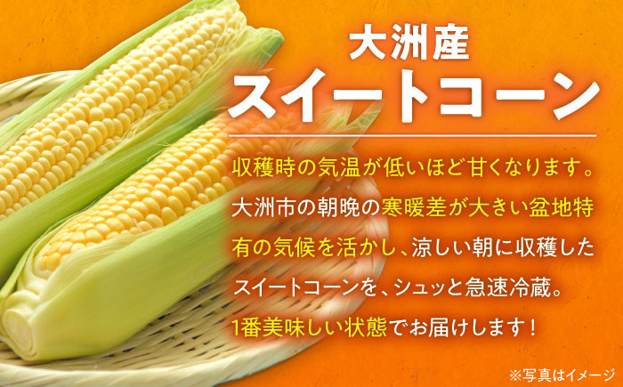コーン トウモロコシ とうきび チーズ  パスタ おうちごはん バター 子供 とうもろこしご飯 料理 新鮮 野菜 産地直送