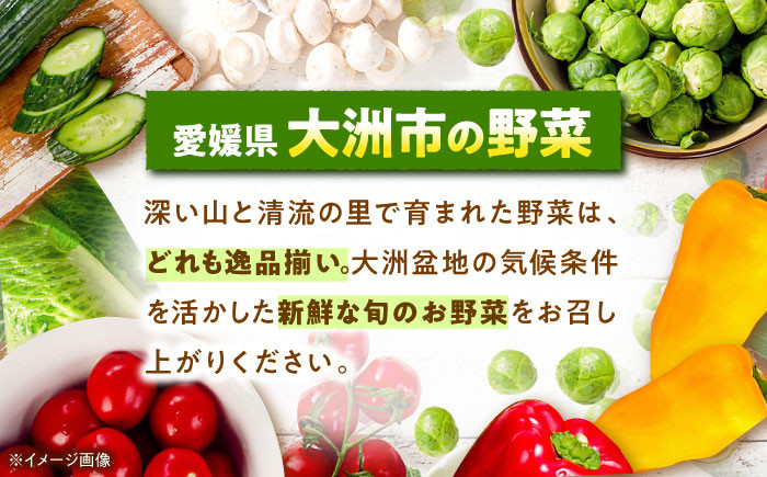 コーン トウモロコシ とうきび チーズ  パスタ おうちごはん バター 子供 とうもろこしご飯 料理 新鮮 野菜 産地直送