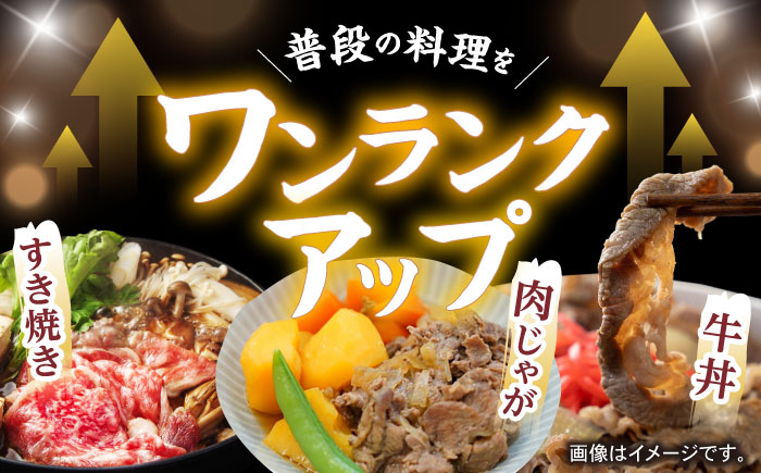 牛肉 長崎県産 長崎和牛 モモ バラ 霜降り牛肉  A5ランク きりおとし 切り落とし  冷凍 ギフト 贈答用 ぎゅうにく