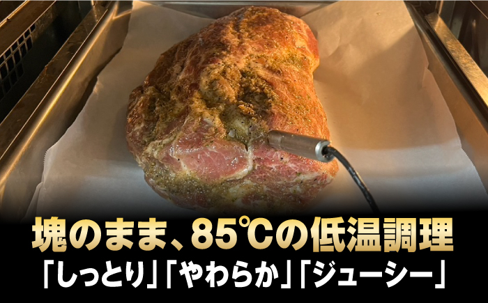 ローストポーク ろーすとぽーく 国産 長崎県産 豚 豚肉 味付け 味付き 小分け 真空パック ソース 冷凍 冷凍 定期便 定期