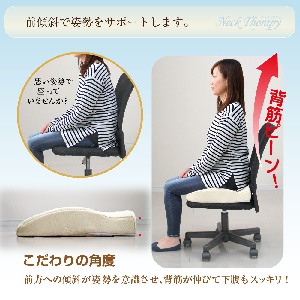 整体院の先生がおすすめする お尻フィット クッション 背もたれ 座布団