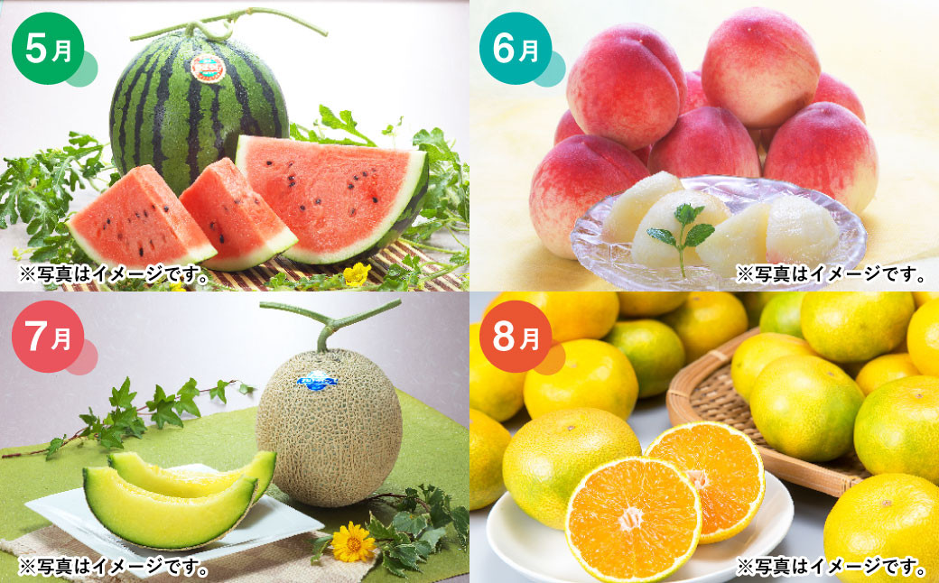 【3か月連続定期便】熊本便り！旬のフルーツ単品定期便
