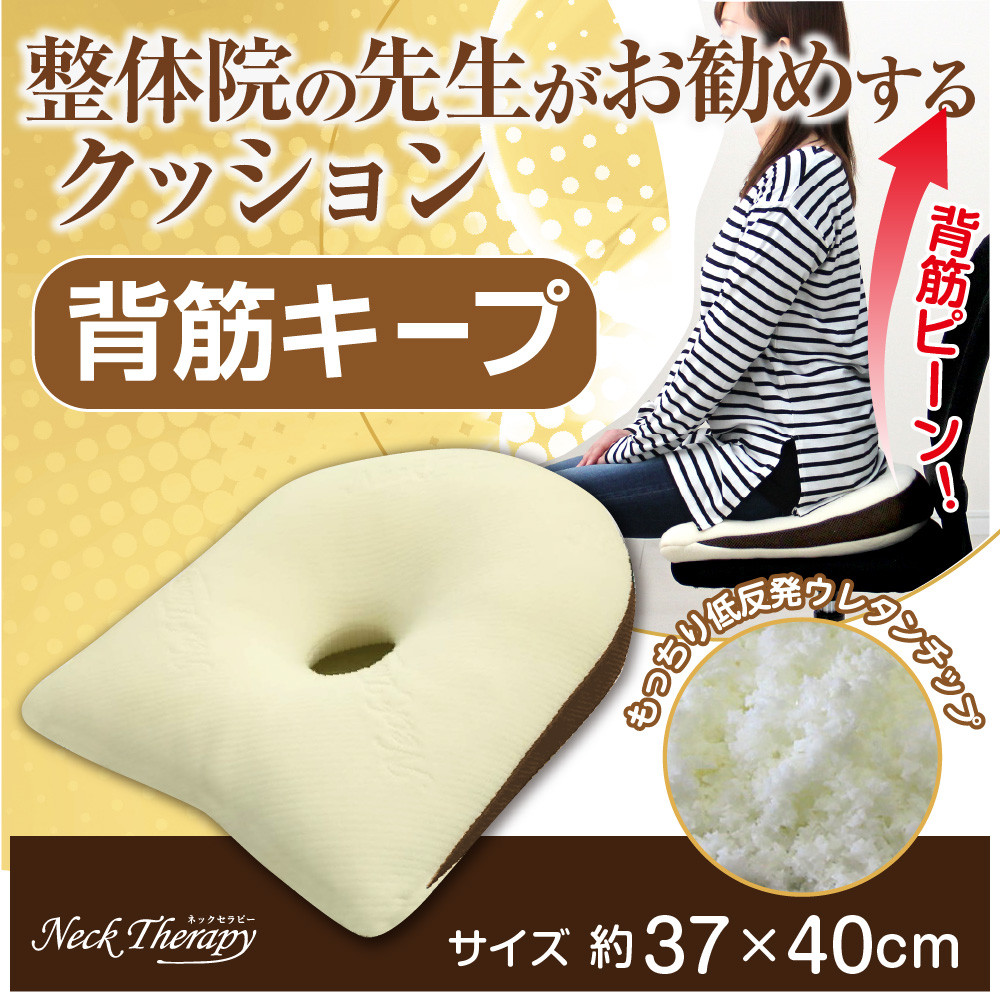 整体院の先生がおすすめする 背筋 キープ クッション 