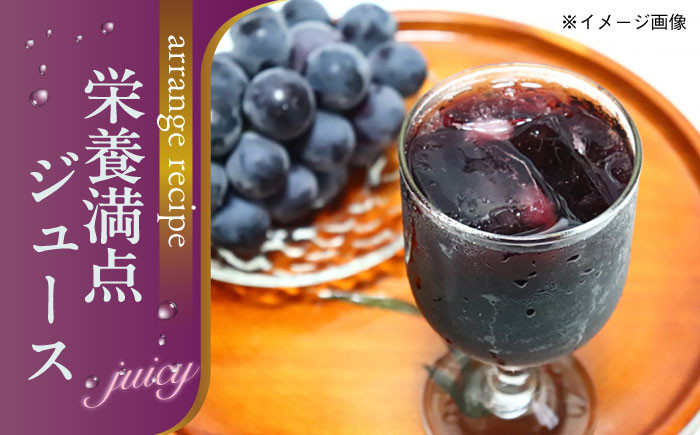 食品 果物 フルーツ おやつ デザート 葡萄 ぶどう ブドウ ピオーネ 巨峰 種無し 大粒 2kg タルト ギフト 贈答用