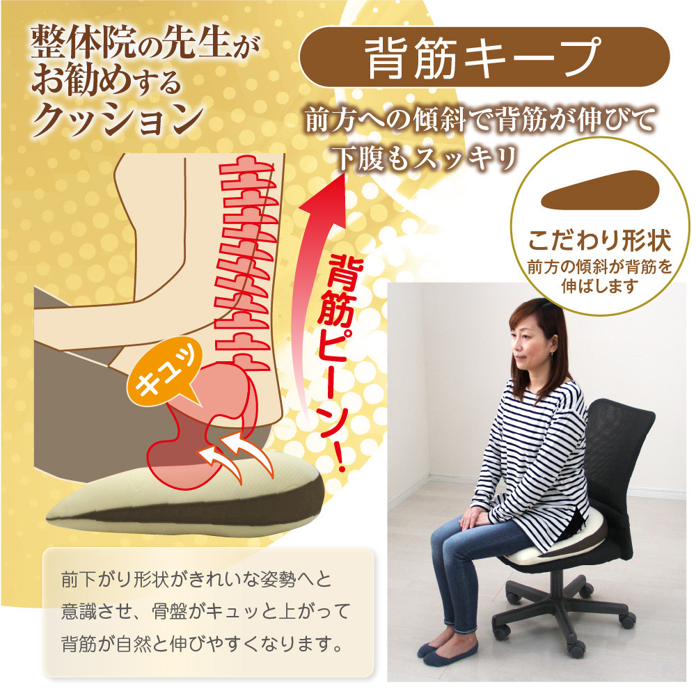 整体院の先生がおすすめする 背筋 キープ クッション 