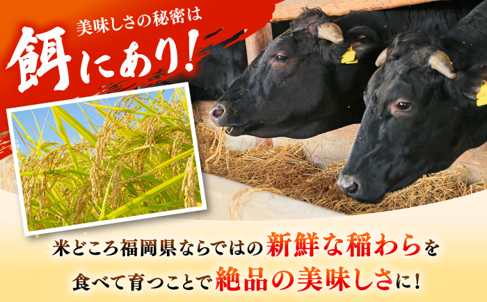 6回定期便 訳あり 和牛 切り落とし & あまおう セット1.3kg