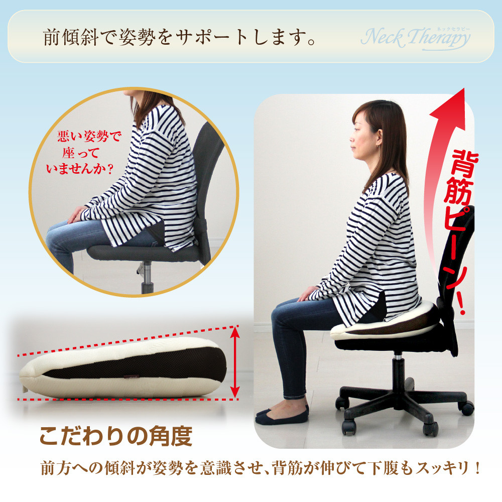 整体院の先生がおすすめする 背筋 キープ クッション 