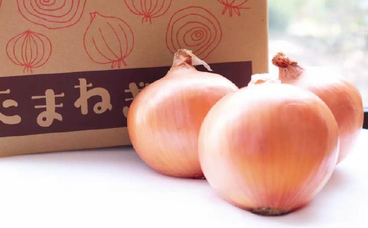 淡路島たまねぎ　10キロ