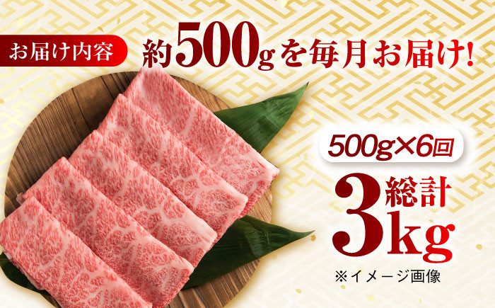 肉 牛 和牛 ロース スライス すき焼き しゃぶしゃぶ 西海市 長崎 九州 定期便