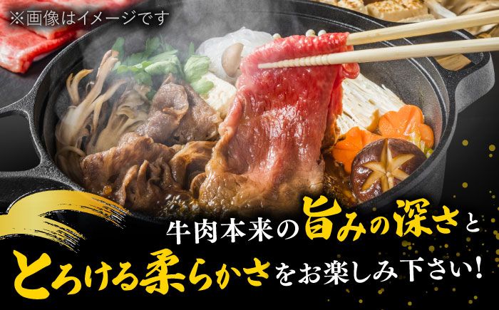3回定期便  和牛 しゃぶしゃぶ すき焼き用 500g