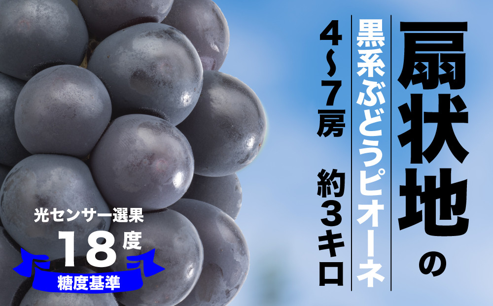 自然の力に恵まれた「いちのみや地区」にある自社農園で収穫したピオーネを糖度検査をして新鮮なうちにお届けします！