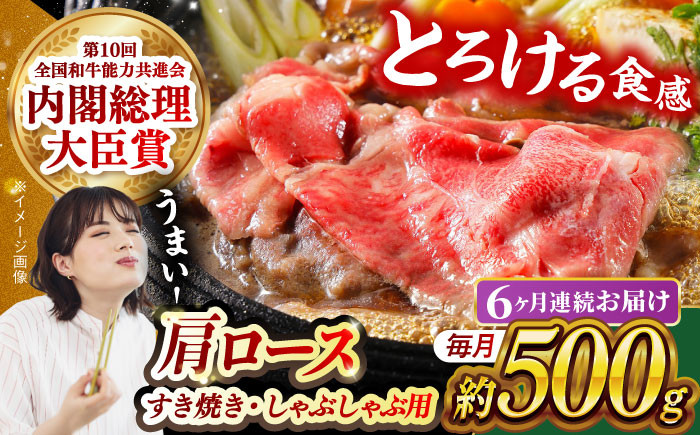 肉 牛 和牛 ロース すき焼き 西海市 長崎 九州 定期便
