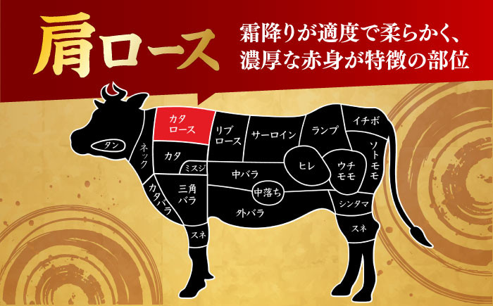 肉 牛 和牛 ロース すき焼き 西海市 長崎 九州 定期便
