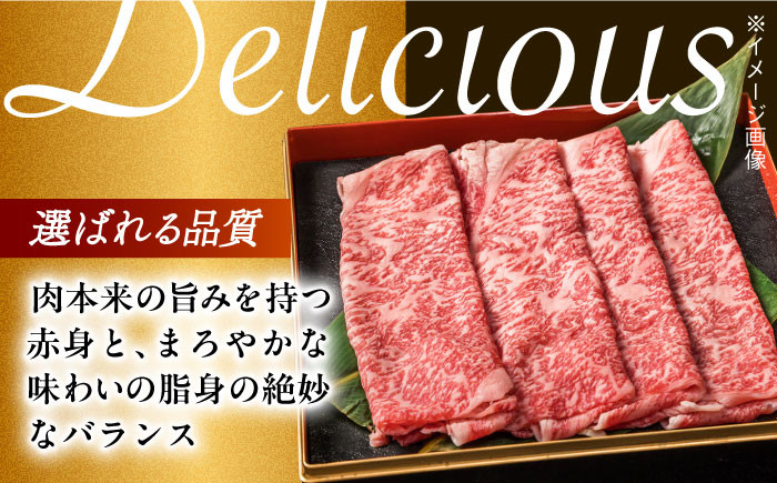 肉 牛 和牛 ロース すき焼き 西海市 長崎 九州 定期便