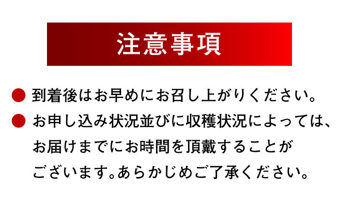 大洲産羅皇（スイカ）2Lサイズ以上 大玉1玉