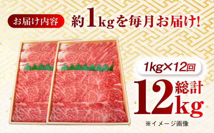 肉 牛 和牛 ロース すき焼き 西海市 長崎 九州 定期便