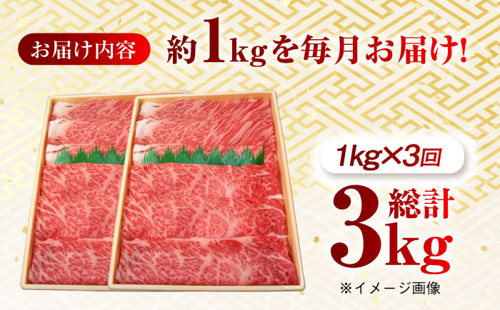 肉 牛 和牛 ロース すき焼き 西海市 長崎 九州 定期便