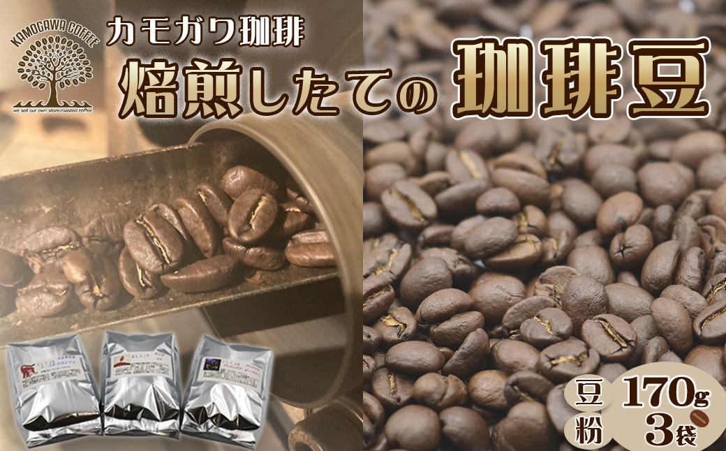珈琲豆170g（生豆200g）×３袋　豆の種類は店主にお任せください。