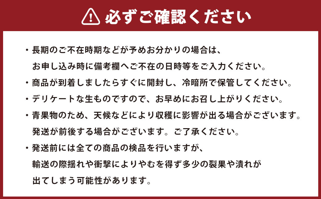 【年6回定期便】くまもとのフルーツ定期便