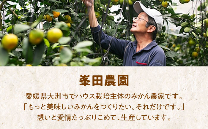 プレミアム柑橘5kgセット（ハウスみかん2kg、まどんな3㎏）