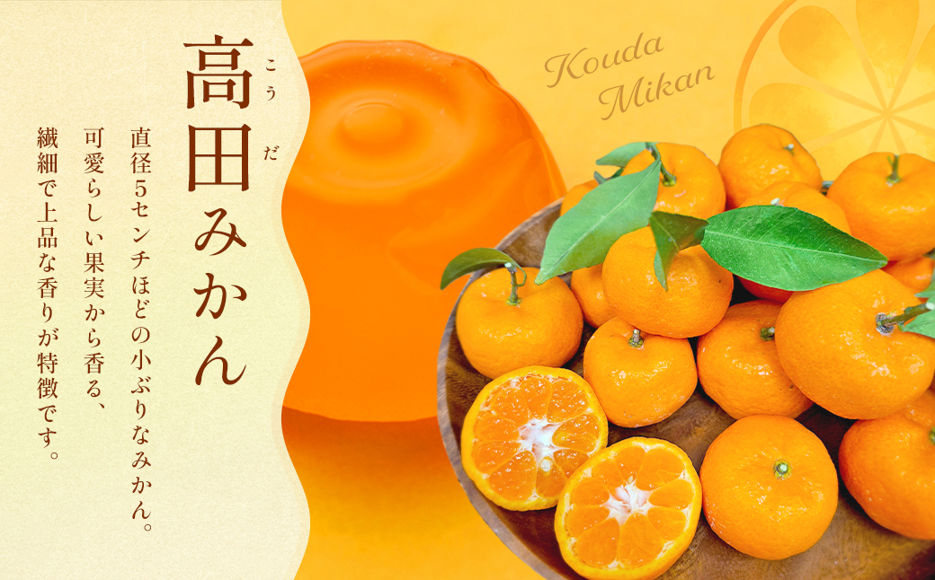 高田みかんは小ぶりで可愛らしい果実から香る、繊細で上品な香りが特徴です。