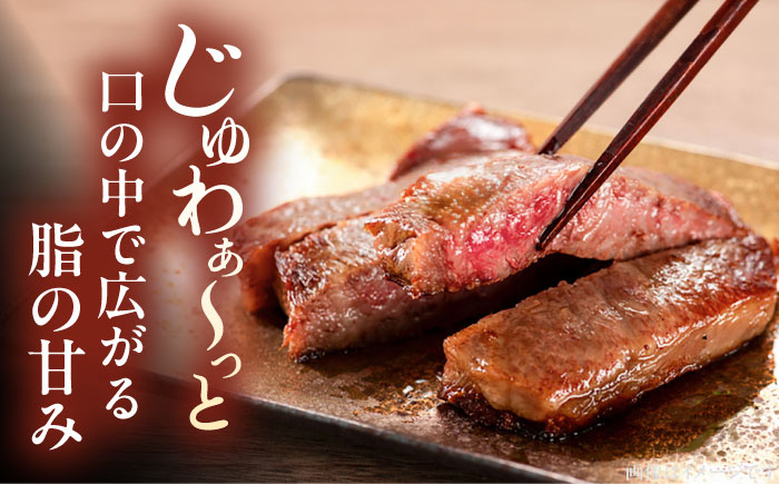 2回定期便 和牛 サーロイン ステーキ 200g × 3枚