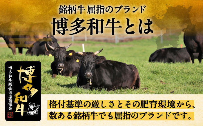 3回定期便 和牛 サーロイン ステーキ 200g × 3枚