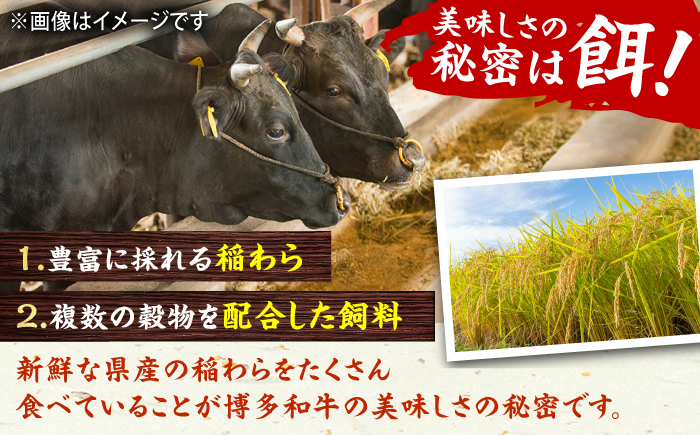 ハンバーグ 肉 にく ニク お肉 牛肉 博多和牛