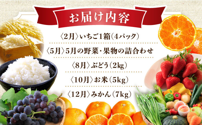 おおむら夢ファーム シュシュ いちご ぶどう みかん 米 野菜 野菜詰合せ 野菜セット 定期便