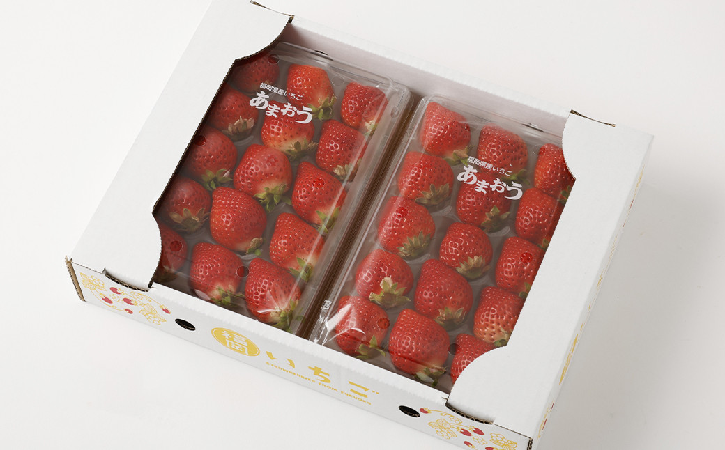 【3回定期便】福岡県産 あまおう 合計約1.62kg 約270g×2パック×3回
