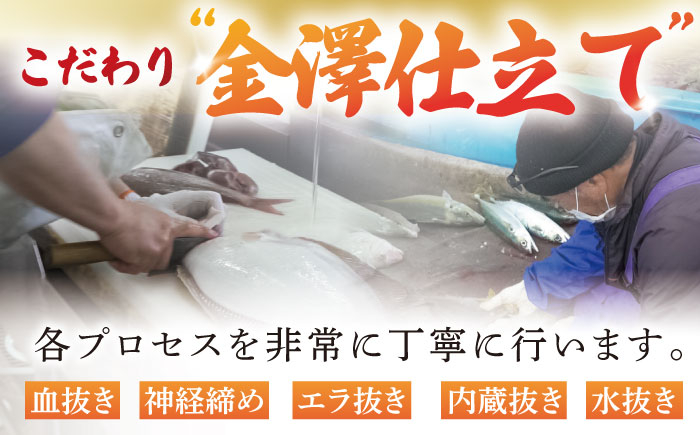 魚 刺身 鮮魚 冷凍 下処理済み 5種 定期便 さかな サカナ フィレ フィーレ 切身 三枚おろし