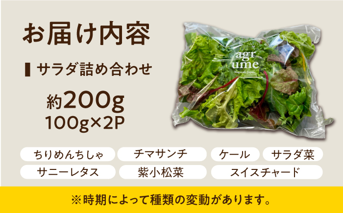 新鮮 野菜 サラダ さらだ セット 詰め合わせ
