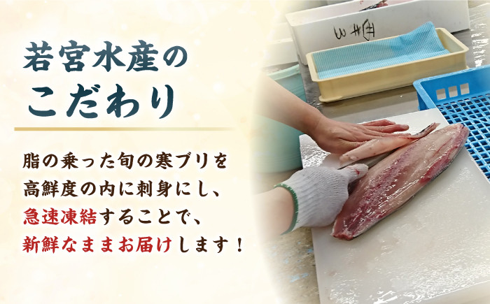 寒ブリしゃぶしゃぶ ブリしゃぶセット 寒ブリスライス 寒ブリ 寒ブリ鍋 