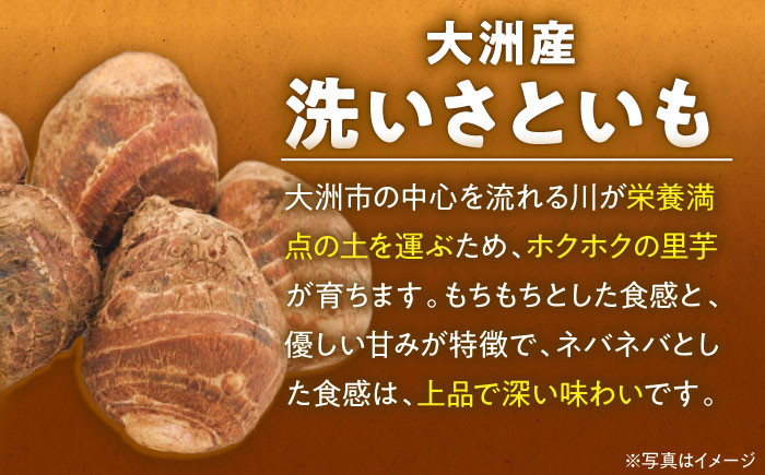 里芋 おうちごはん 和食 朝ごはん 里芋の煮っころがし 里芋の煮物 里芋コロッケ 味噌汁 畑 野菜 新鮮