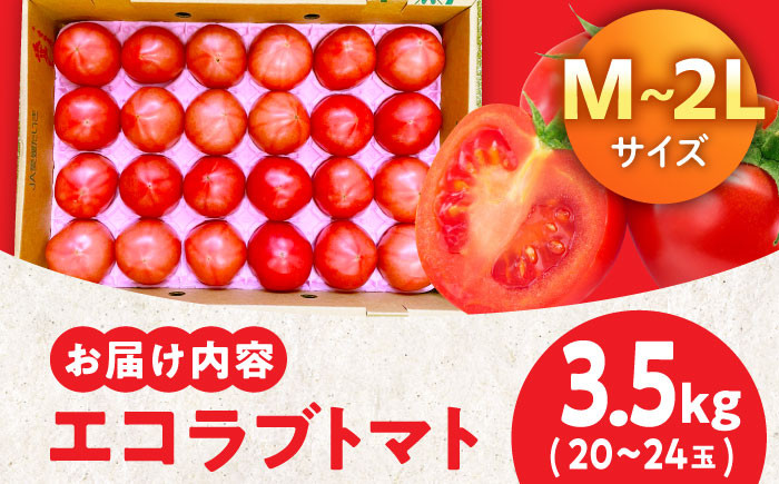 リコピン ランチ 夏野菜  とまと 美味しい 朝ごはん カレー トマトソース トマトジュース サンドイッチ トマト