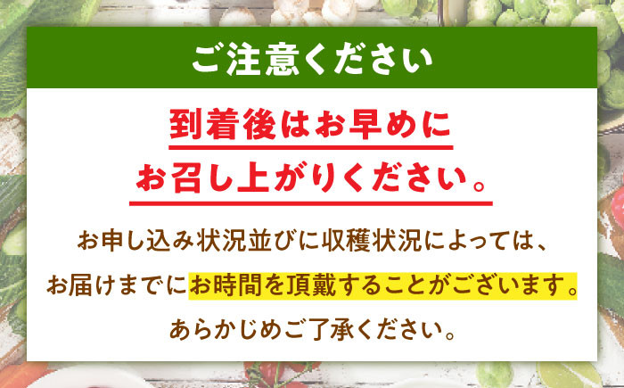 里芋 おうちごはん 和食 朝ごはん 里芋の煮っころがし 里芋の煮物 里芋コロッケ 味噌汁 畑 野菜 新鮮