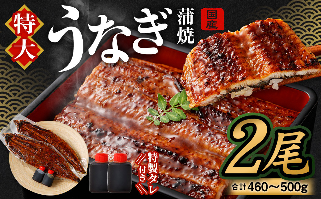 【土用の丑の日に間に合う!】 国産 特大 うなぎ 蒲焼 2尾 (460 ~ 500g) と 特製タレ 2個 セット 鰻 かば焼き