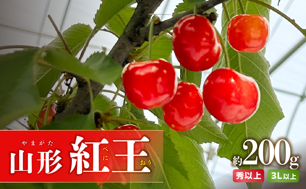 《先行予約》山形紅王（やまがたべにおう）約200g さくらんぼ 【2024年6月20日以降～発送予定】