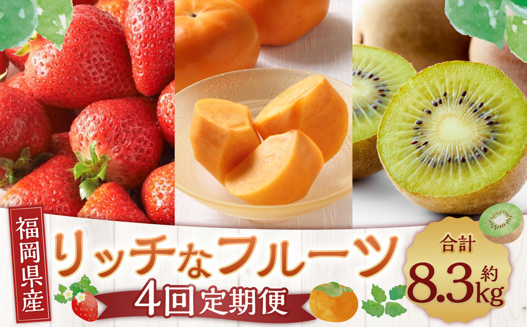 【4回定期便】福岡のリッチなフルーツ定期便 くだもの いちご キウイ 柿 