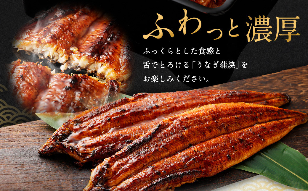【土用の丑の日に間に合う!】 国産 特大 うなぎ 蒲焼 2尾 (460 ~ 500g) と 特製タレ 2個 セット 鰻 かば焼き