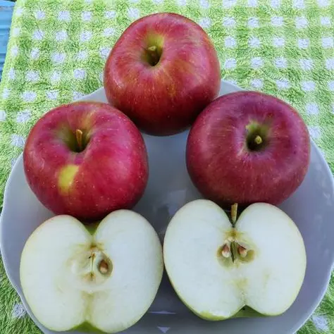 お盆前にこんなに美味しいりんごがあったのか！！