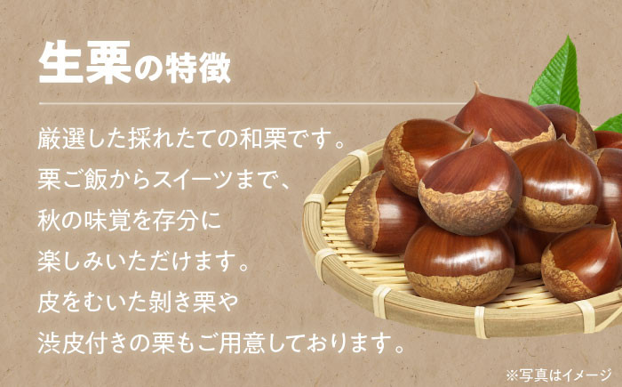 ほくほく食感がたまらない！秋深まる味覚の宝！生栗2kg（L～2Lサイズ）