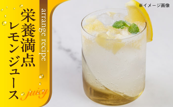 【冷凍】くし切りにカット済み国産レモン 1000g×2袋