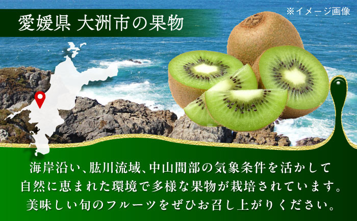 【冷凍】国産のキウイフルーツを年中いつでも！ 生産量日本一！冷凍キウイフルーツ 800ｇ×3袋　