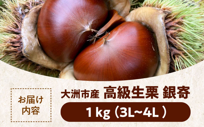 食品 果物 フルーツ 栗 くり クリ 和栗 生栗 むき栗 お菓子 デザート 和菓子  料理 甘露煮 栗きんとん 栗ごはん 渋皮煮