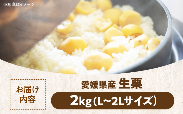 ほくほく食感がたまらない！秋深まる味覚の宝！生栗2kg（L～2Lサイズ）